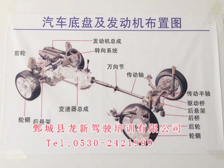 点击查看详细信息<br>标题：龙新驾驶 阅读次数：781